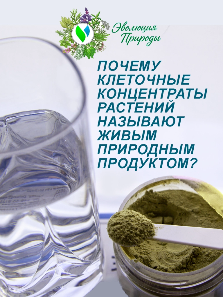 кк.png