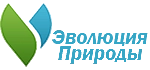 на сайт2.png